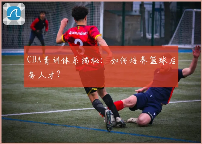 CBA青训体系揭秘：如何培养篮球后备人才？