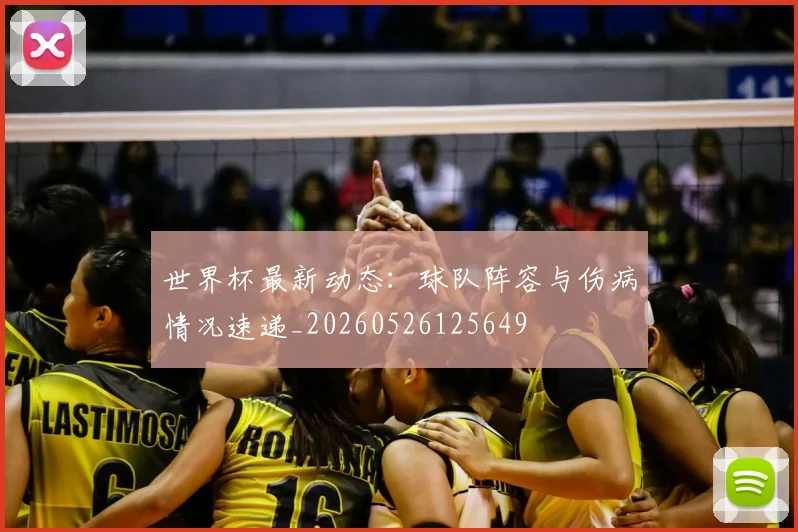 世界杯最新动态:球队阵容与伤病情况速递_20260526125649