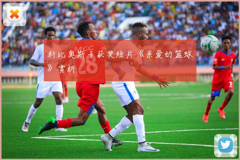 科比奥斯卡获奖短片《亲爱的篮球》赏析