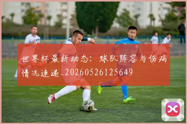 世界杯最新动态：球队阵容与伤病情况速递_20260526125649